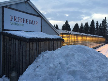 Fridheimar Greenhouse Fridheimar Greenhouse