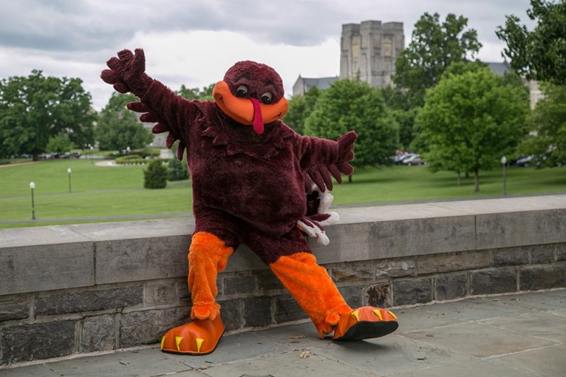 Hokie Bird